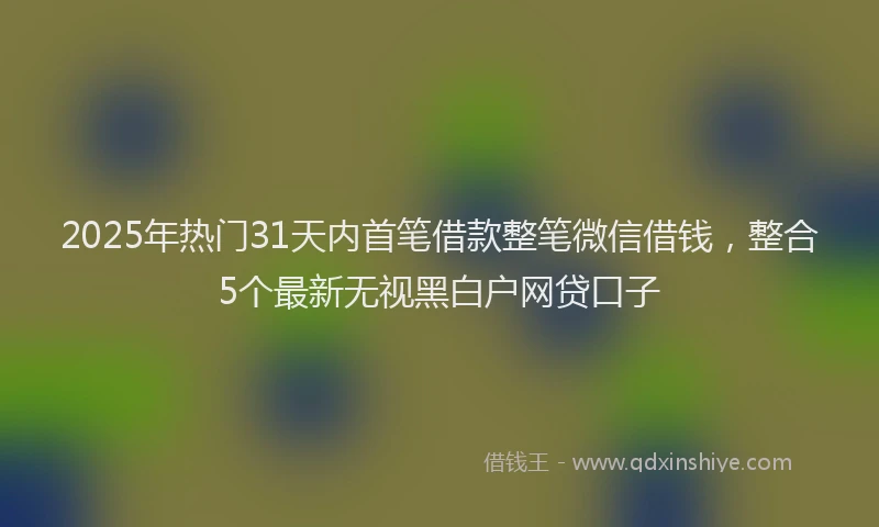 2025年热门31天内首笔借款整笔微信借钱，整合5个最新无视黑白户网贷口子