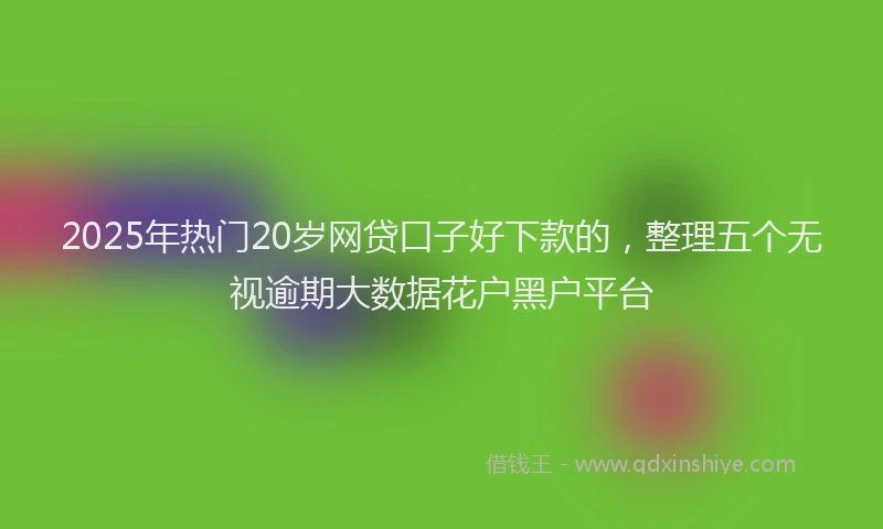 2025年热门20岁网贷口子好下款的，整理五个无视逾期大数据花户黑户平台
