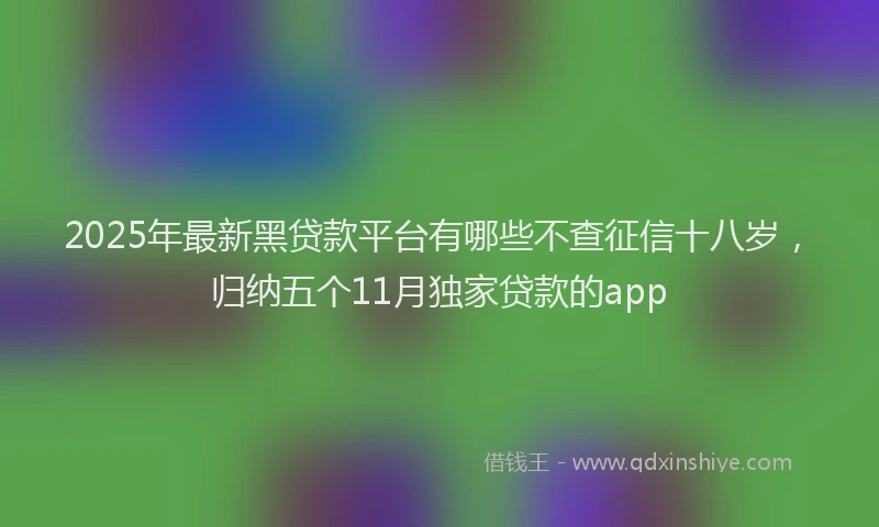 2025年最新黑贷款平台有哪些不查征信十八岁，归纳五个11月独家贷款的app