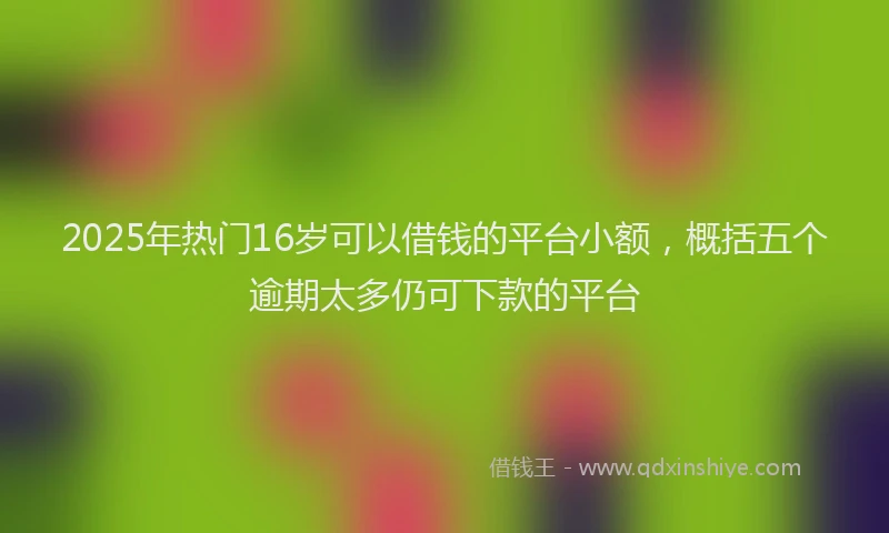 2025年热门16岁可以借钱的平台小额，概括五个逾期太多仍可下款的平台