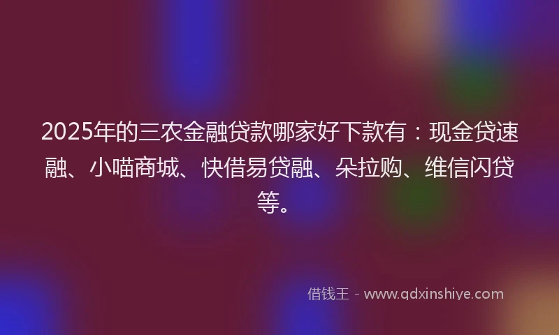 2025年的三农金融贷款哪家好下款有：现金贷速融、小喵商城、快借易贷融、朵拉购、维信闪贷等。