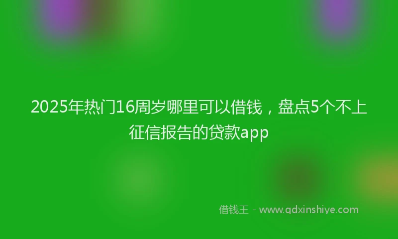 2025年热门16周岁哪里可以借钱，盘点5个不上征信报告的贷款app