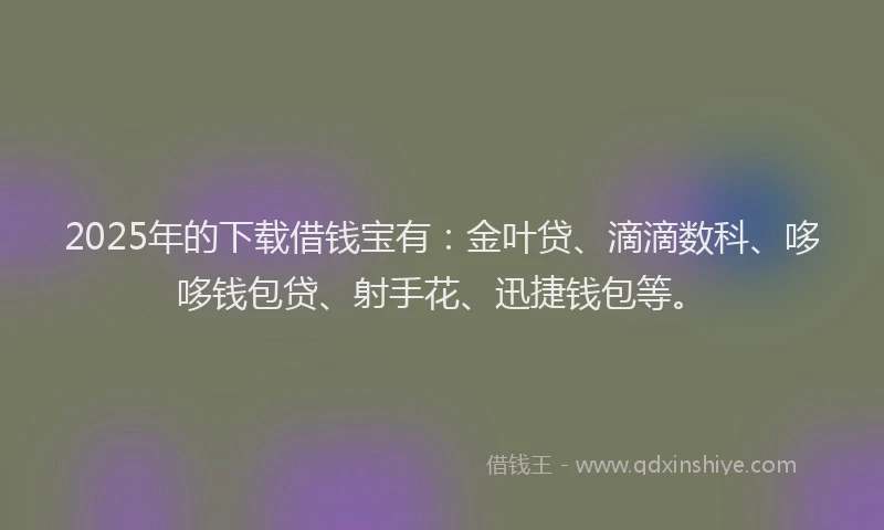 2025年的下载借钱宝有:金叶贷、滴滴数科、哆哆钱包贷、射手花、迅捷钱包等。