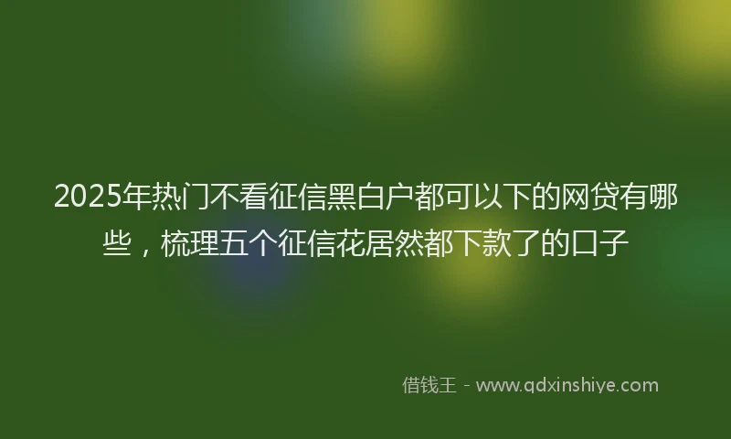 2025年热门不看征信黑白户都可以下的网贷有哪些，梳理五个征信花居然都下款了的口子