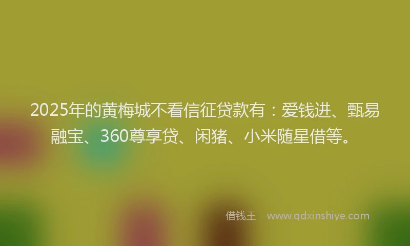 2025年的黄梅城不看信征贷款有：爱钱进、甄易融宝、360尊享贷、闲猪、小米随星借等。