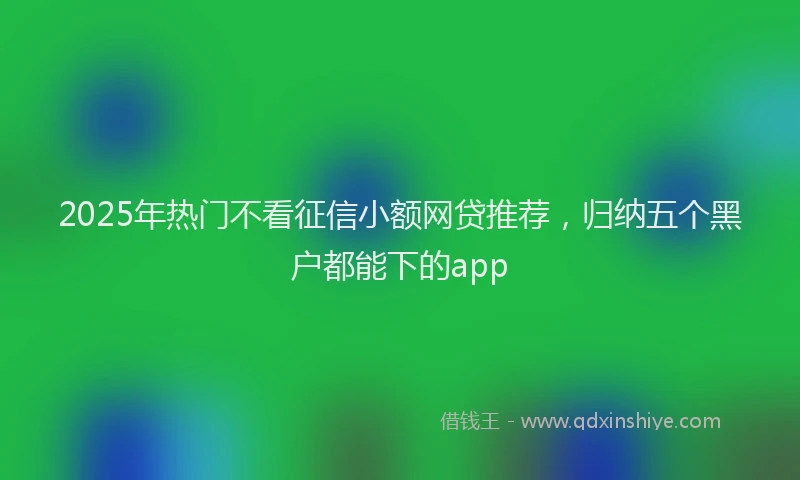 2025年热门不看征信小额网贷推荐，归纳五个黑户都能下的app