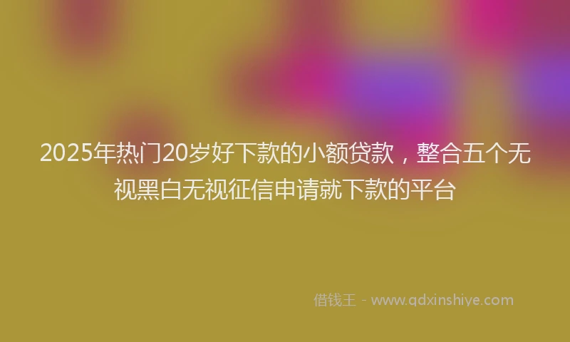 2025年热门20岁好下款的小额贷款，整合五个无视黑白无视征信申请就下款的平台