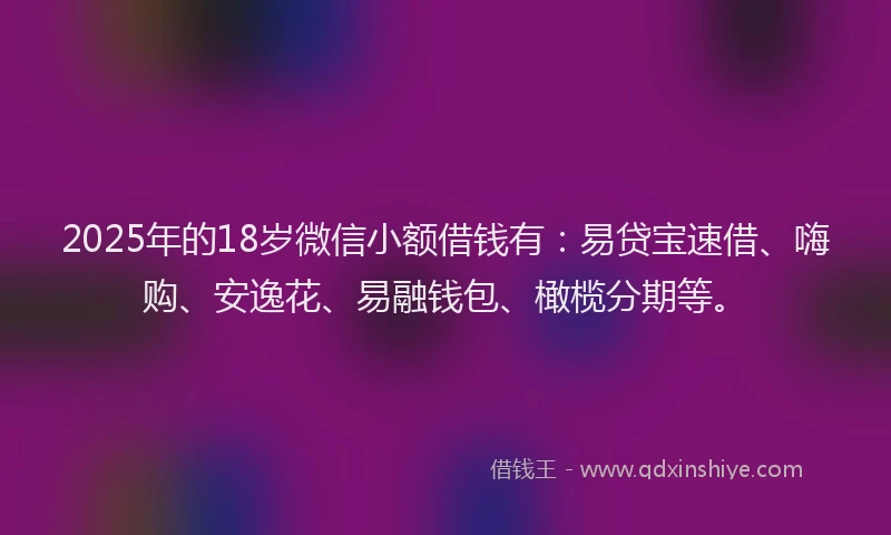 2025年的18岁微信小额借钱有：易贷宝速借、嗨购、安逸花、易融钱包、橄榄分期等。