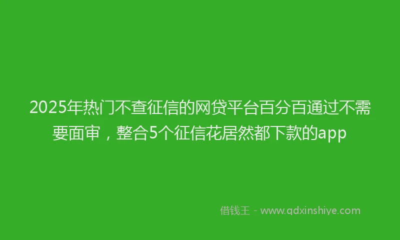 2025年热门不查征信的网贷平台百分百通过不需要面审，整合5个征信花居然都下款的app
