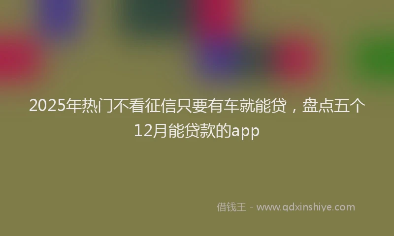 2025年热门不看征信只要有车就能贷，盘点五个12月能贷款的app
