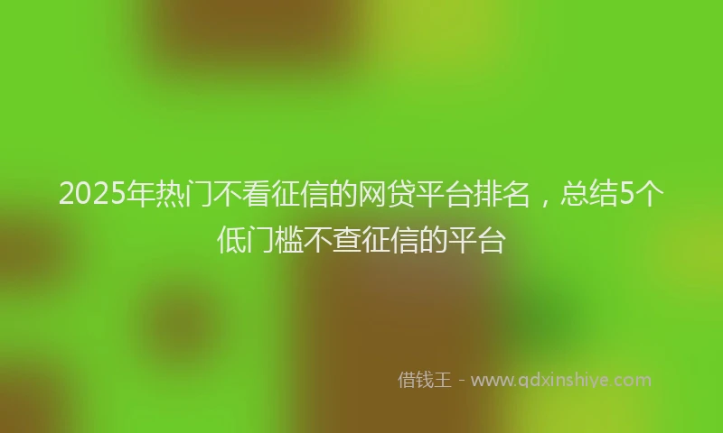 2025年热门不看征信的网贷平台排名,总结5个低门槛不查征信的平台