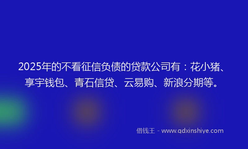 2025年的不看征信负债的贷款公司有：花小猪、享宇钱包、青石信贷、云易购、新浪分期等。