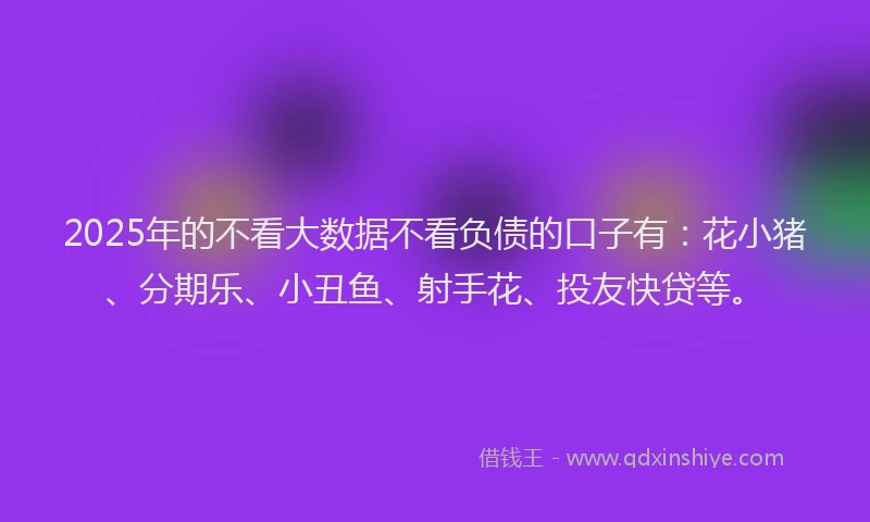 2025年的不看大数据不看负债的口子有：花小猪、分期乐、小丑鱼、射手花、投友快贷等。