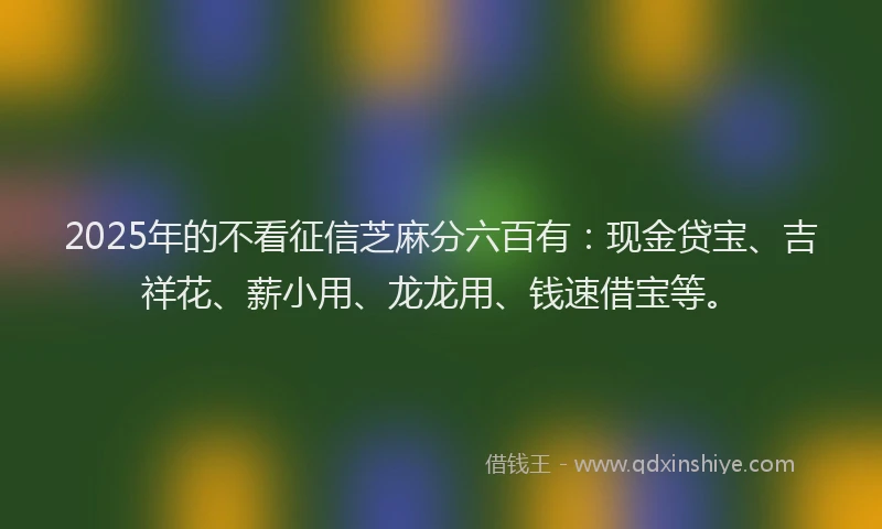 2025年的不看征信芝麻分六百有：现金贷宝、吉祥花、薪小用、龙龙用、钱速借宝等。