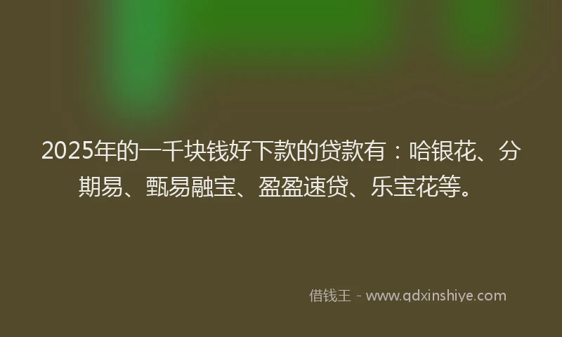 2025年的一千块钱好下款的贷款有：哈银花、分期易、甄易融宝、盈盈速贷、乐宝花等。