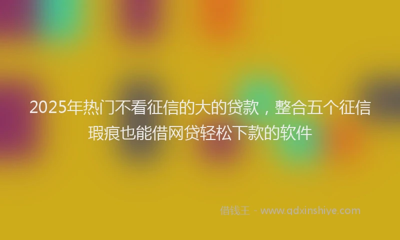 2025年热门不看征信的大的贷款，整合五个征信瑕疵也能借网贷轻松下款的软件