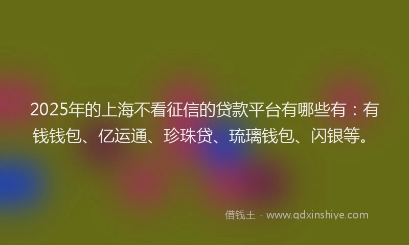 2025年的上海不看征信的贷款平台有哪些有：有钱钱包、亿运通、珍珠贷、琉璃钱包、闪银等。