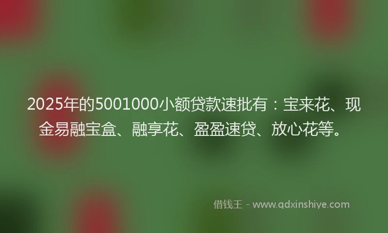 2025年的5001000小额贷款速批有：宝来花、现金易融宝盒、融享花、盈盈速贷、放心花等。