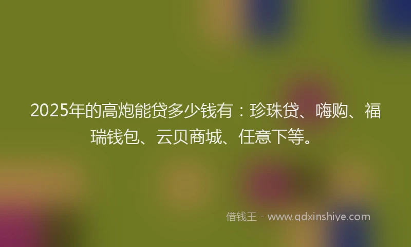 2025年的高炮能贷多少钱有：珍珠贷、嗨购、福瑞钱包、云贝商城、任意下等。