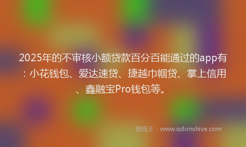 2025年的不审核小额贷款百分百能通过的app有：小花钱包、爱达速贷、捷越巾帼贷、掌上信用、鑫融宝Pro钱包等。