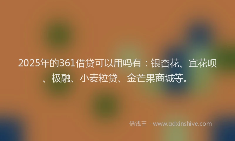 2025年的361借贷可以用吗有：银杏花、宜花呗、极融、小麦粒贷、金芒果商城等。