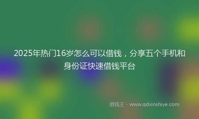 2025年热门16岁怎么可以借钱，分享五个手机和身份证快速借钱平台