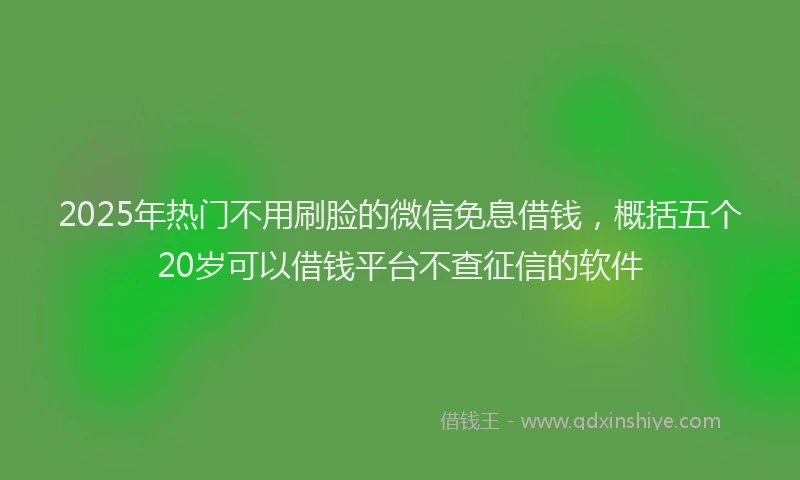 2025年热门不用刷脸的微信免息借钱，概括五个20岁可以借钱平台不查征信的软件