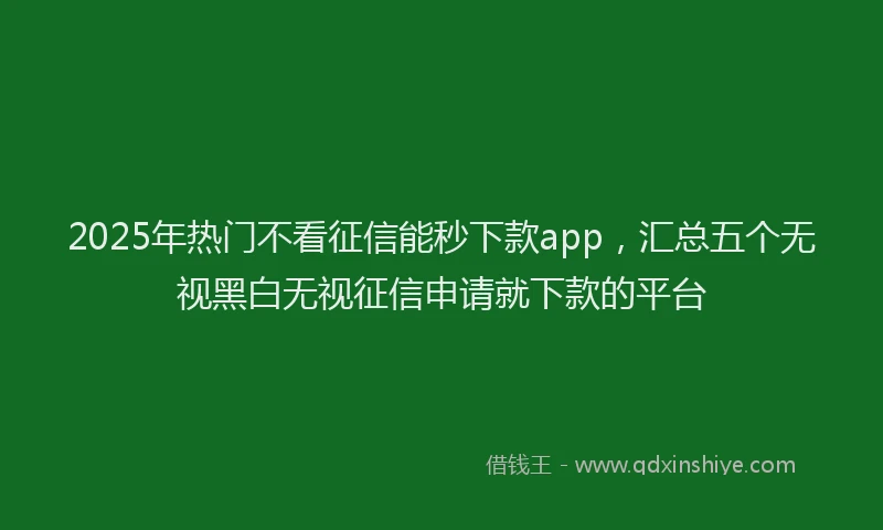 2025年热门不看征信能秒下款app，汇总五个无视黑白无视征信申请就下款的平台