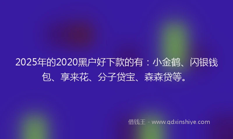 2025年的2020黑户好下款的有：小金鹤、闪银钱包、享来花、分子贷宝、森森贷等。
