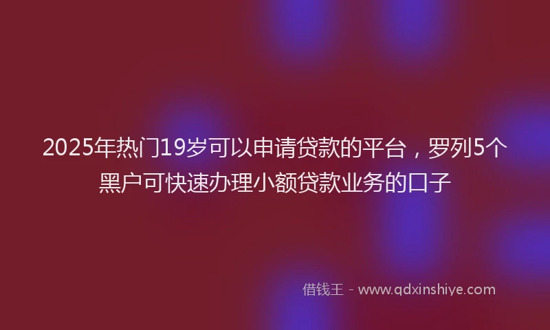 2025年热门19岁可以申请贷款的平台，罗列5个黑户可快速办理小额贷款业务的口子