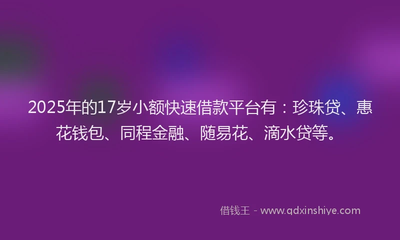 2025年的17岁小额快速借款平台有：珍珠贷、惠花钱包、同程金融、随易花、滴水贷等。