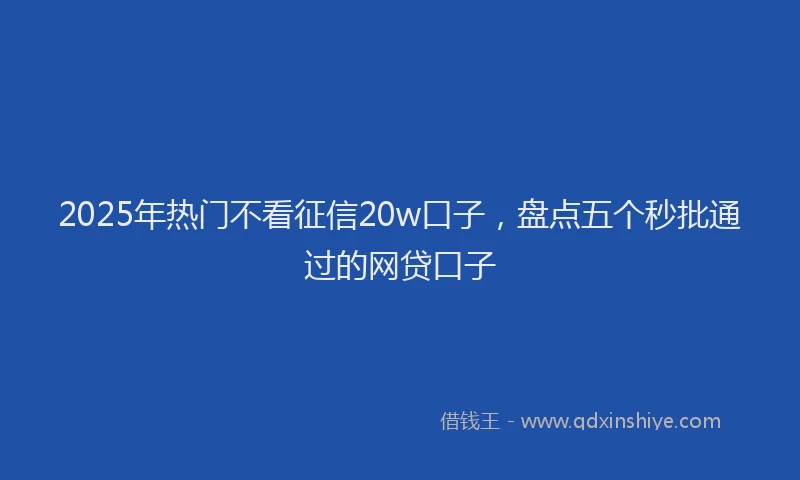 2025年热门不看征信20w口子，盘点五个秒批通过的网贷口子