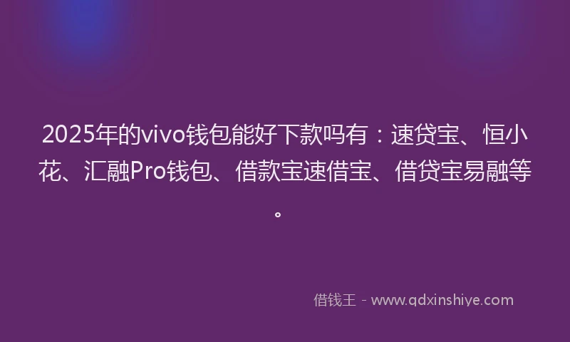2025年的vivo钱包能好下款吗有:速贷宝、恒小花、汇融Pro钱包、借款宝速借宝、借贷宝易融等。