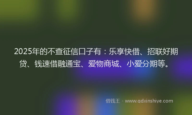 2025年的不查征信口子有：乐享快借、招联好期贷、钱速借融通宝、爱物商城、小爱分期等。