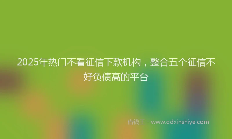 2025年热门不看征信下款机构，整合五个征信不好负债高的平台