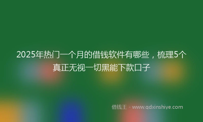 2025年热门一个月的借钱软件有哪些，梳理5个真正无视一切黑能下款口子