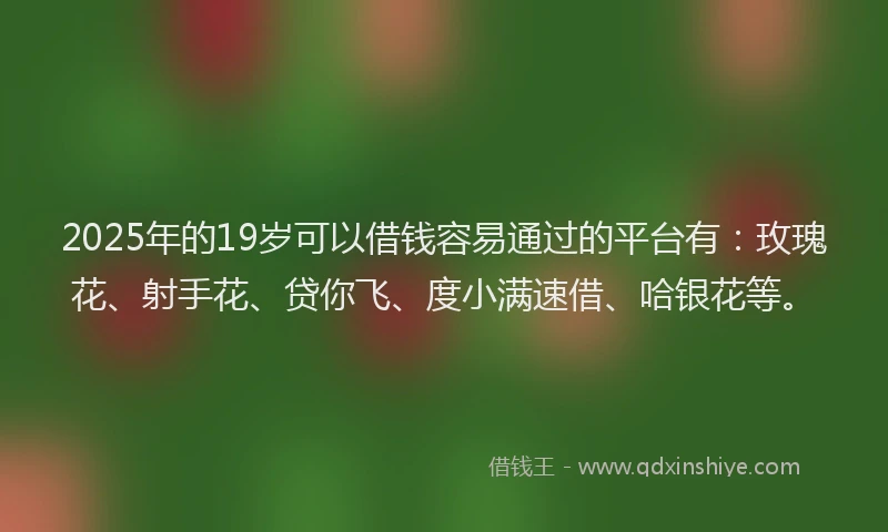 2025年的19岁可以借钱容易通过的平台有：玫瑰花、射手花、贷你飞、度小满速借、哈银花等。