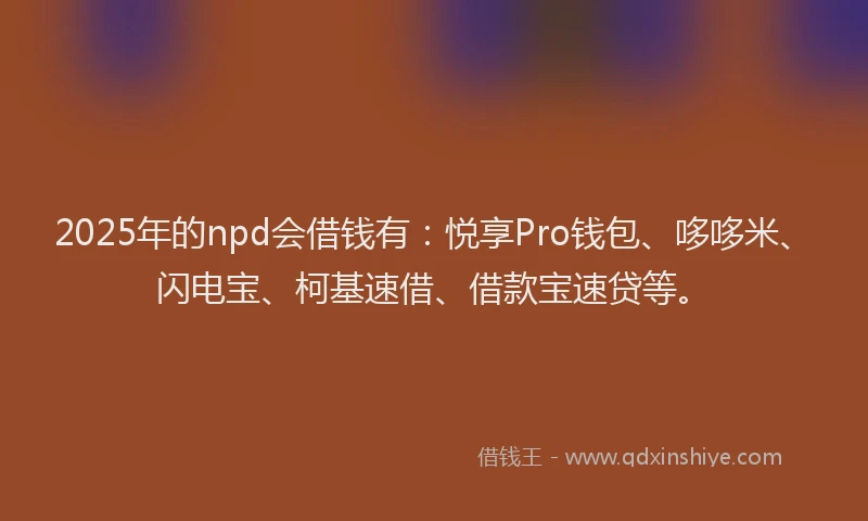 2025年的npd会借钱有：悦享Pro钱包、哆哆米、闪电宝、柯基速借、借款宝速贷等。