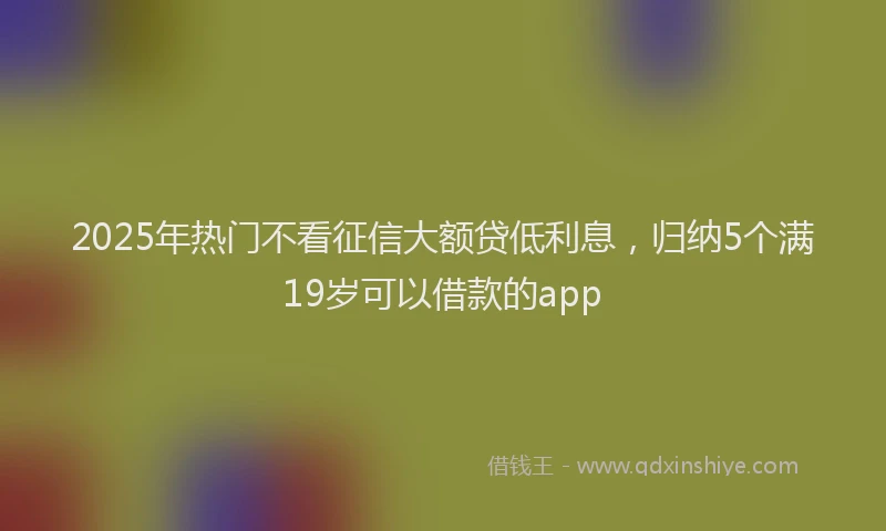 2025年热门不看征信大额贷低利息，归纳5个满19岁可以借款的app