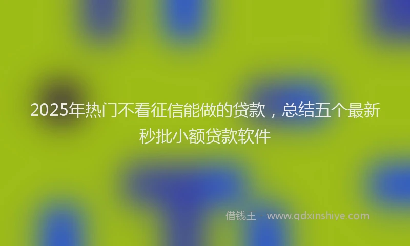 2025年热门不看征信能做的贷款，总结五个最新秒批小额贷款软件