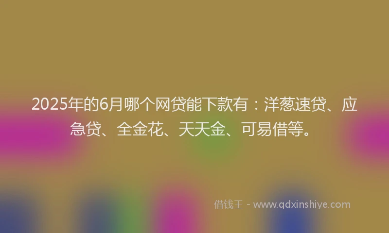2025年的6月哪个网贷能下款有：洋葱速贷、应急贷、全金花、天天金、可易借等。