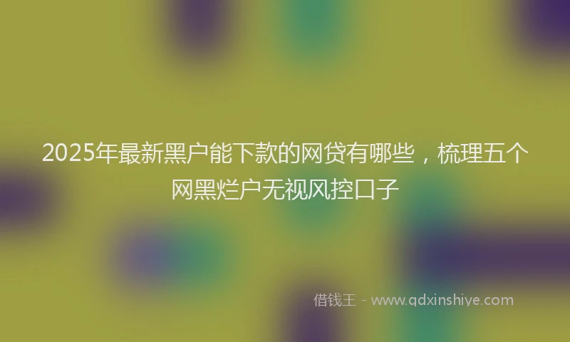 2025年最新黑户能下款的网贷有哪些，梳理五个网黑烂户无视风控口子