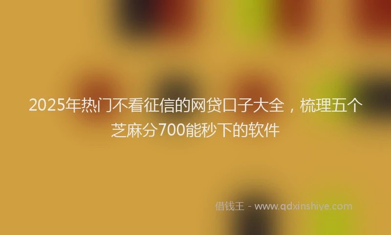 2025年热门不看征信的网贷口子大全，梳理五个芝麻分700能秒下的软件