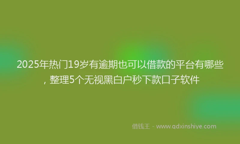 2025年热门19岁有逾期也可以借款的平台有哪些，整理5个无视黑白户秒下款口子软件