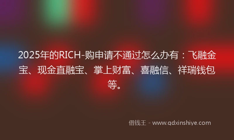 2025年的RICH-购申请不通过怎么办有：飞融金宝、现金直融宝、掌上财富、喜融信、祥瑞钱包等。