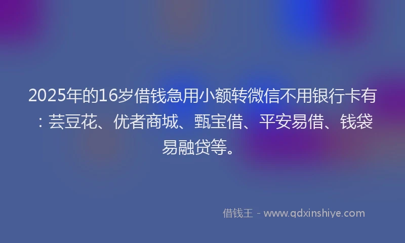 2025年的16岁借钱急用小额转微信不用银行卡有：芸豆花、优者商城、甄宝借、平安易借、钱袋易融贷等。