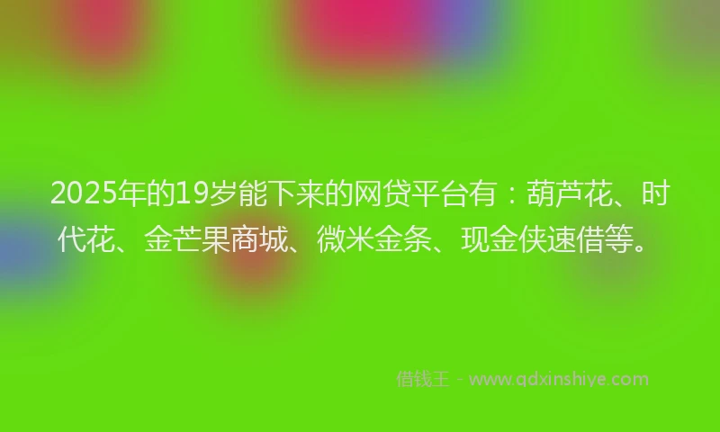 2025年的19岁能下来的网贷平台有：葫芦花、时代花、金芒果商城、微米金条、现金侠速借等。