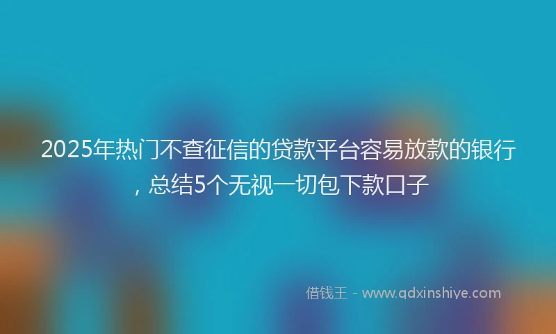 2025年热门不查征信的贷款平台容易放款的银行，总结5个无视一切包下款口子