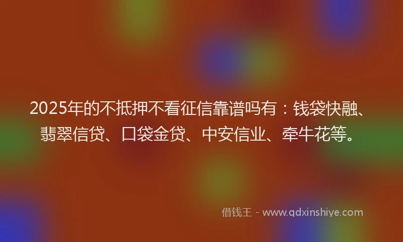 2025年的不抵押不看征信靠谱吗有：钱袋快融、翡翠信贷、口袋金贷、中安信业、牵牛花等。