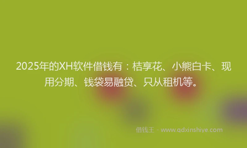 2025年的XH软件借钱有：桔享花、小熊白卡、现用分期、钱袋易融贷、只从租机等。